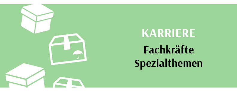 Karriere